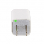 Apple Original USA USB Adapter (MD810)