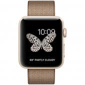 Часы Apple Watch Series 2 42mm Gold Aluminum Case with Toasted CoffeeCaramel Woven Nylon Band (MNPP2)