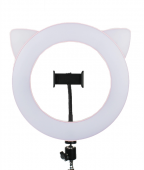 Halo Led Ring 27sm Cat
