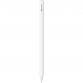 Apple Pencil Pro (MX2D3)